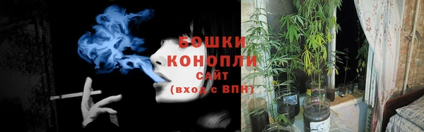 прущие крисы Лабытнанги