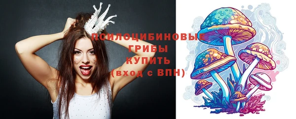 прущие крисы Лабытнанги