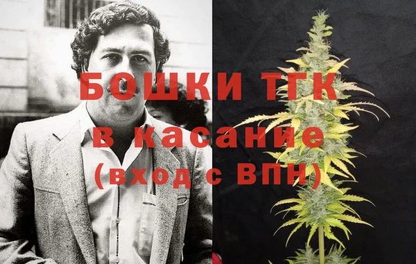 ПСИЛОЦИБИНОВЫЕ ГРИБЫ Ладушкин