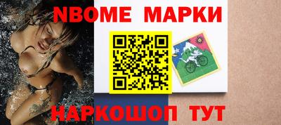 a pvp Новозыбков