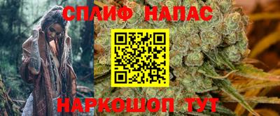 a pvp Новозыбков