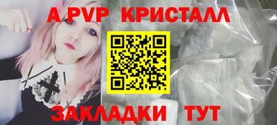 a pvp Новозыбков