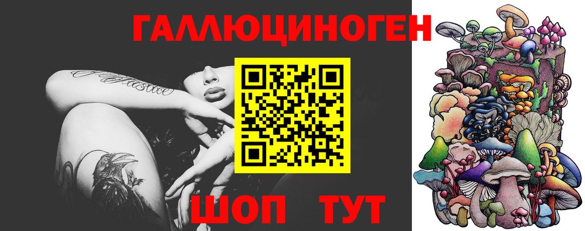 Псилоцибиновые грибы Psilocybine cubensis Усть-Кут