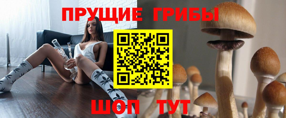 Галлюциногенные грибы ЛСД  Псилоцибиновые грибы прущие грибы  Усть-Кут  Вход с VPN 