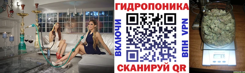 площадка состав  где купить наркоту  Усть-Кут  Каннабис SATIVA & INDICA 